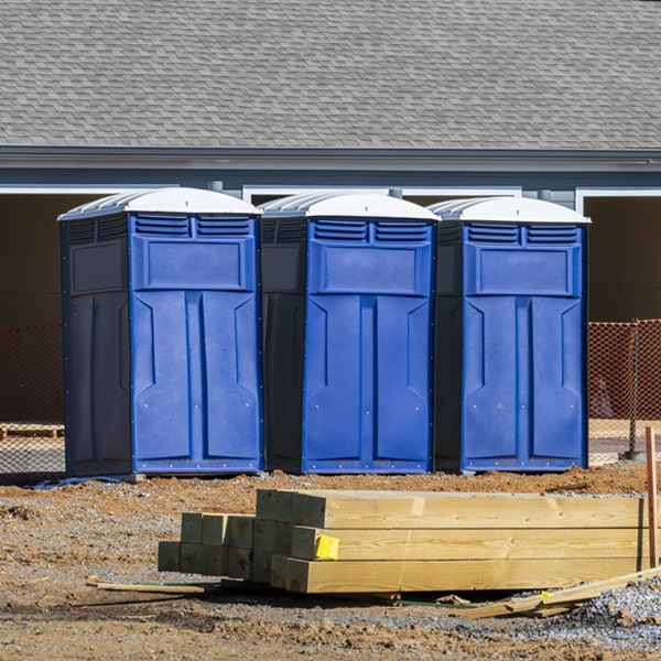 how often are the porta potties cleaned and serviced during a rental period in Tivoli NY